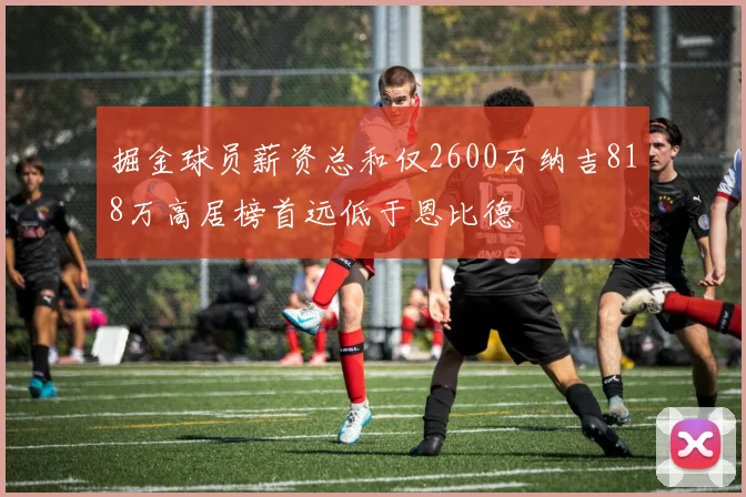 掘金球员薪资总和仅2600万纳吉818万高居榜首远低于恩比德